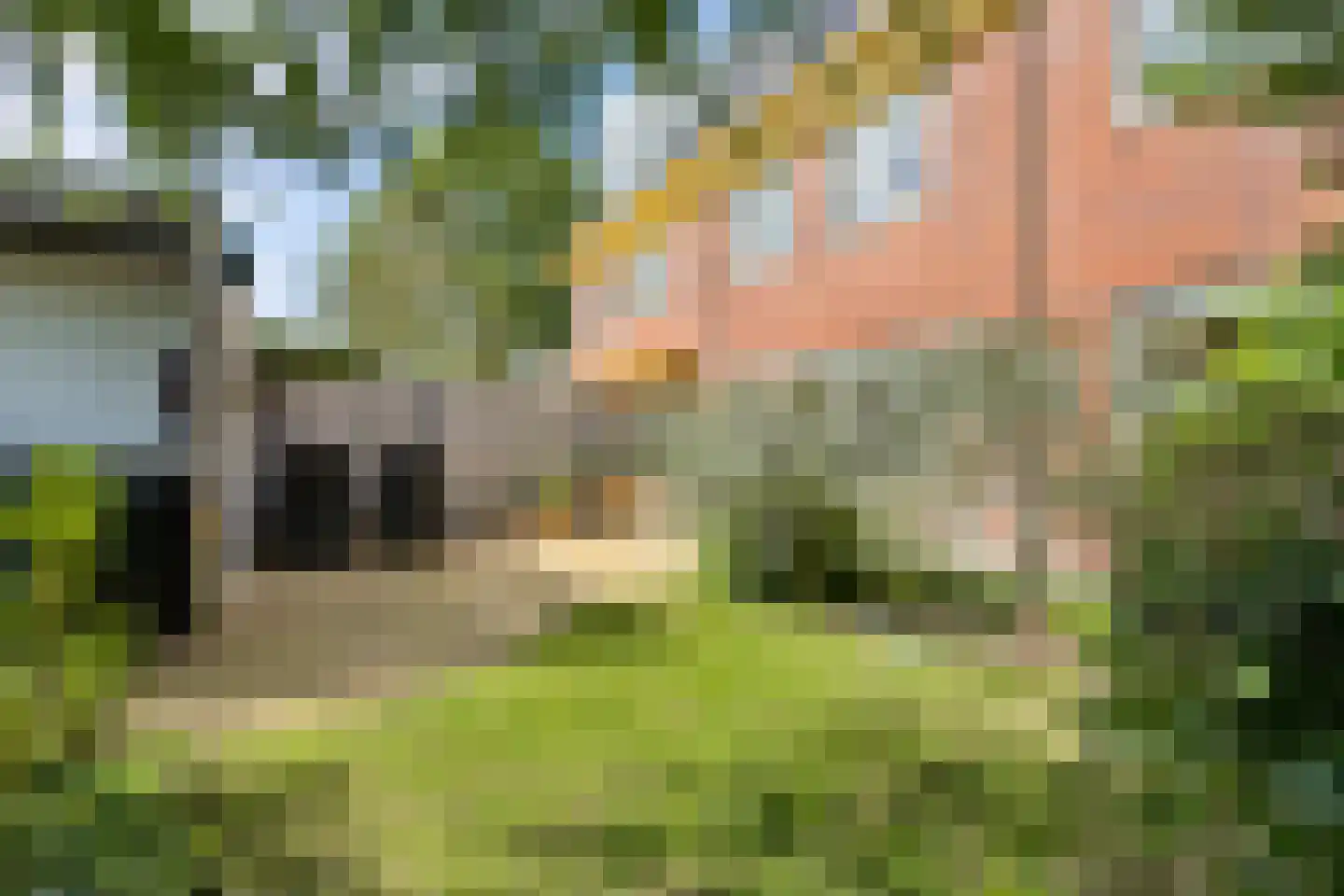 Langshout 45 Houten thumbnail 37