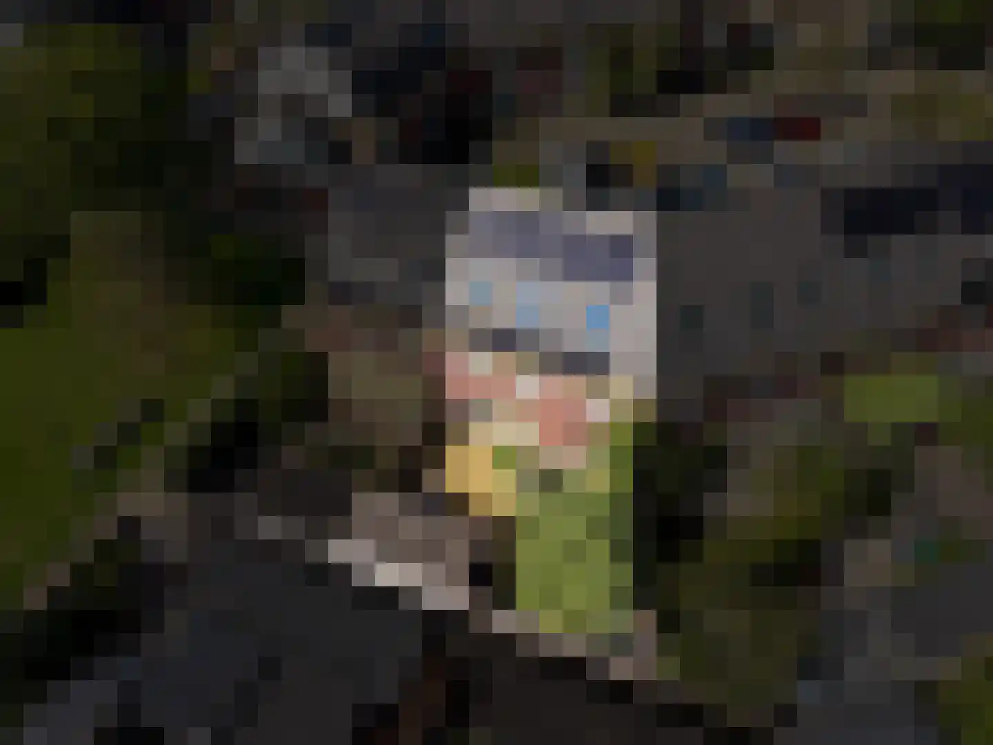 Langshout 45 Houten thumbnail 44