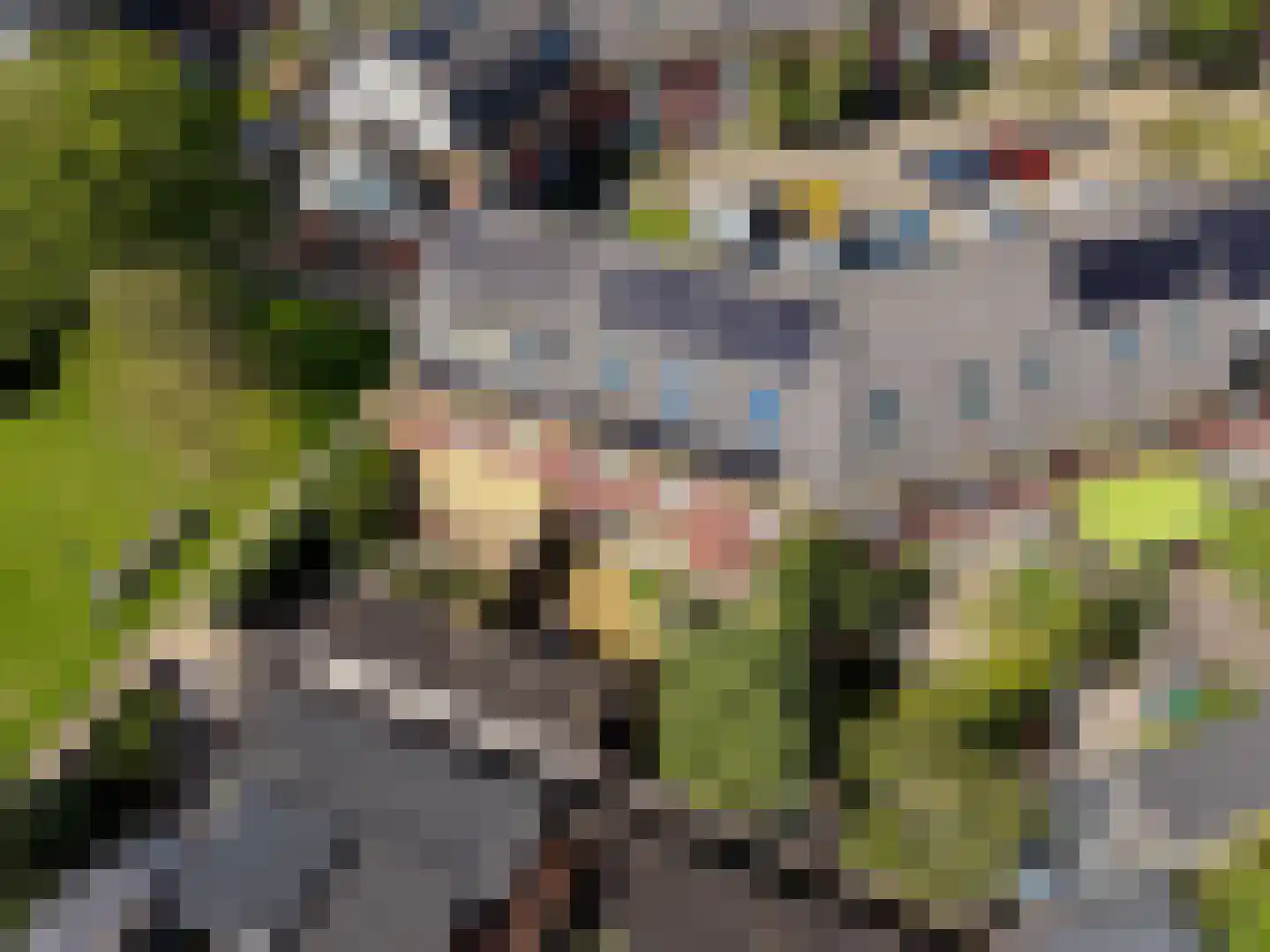 Langshout 45 Houten thumbnail 45