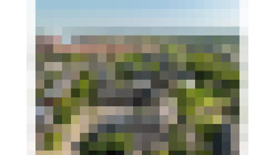 Langshout 45 Houten thumbnail 46