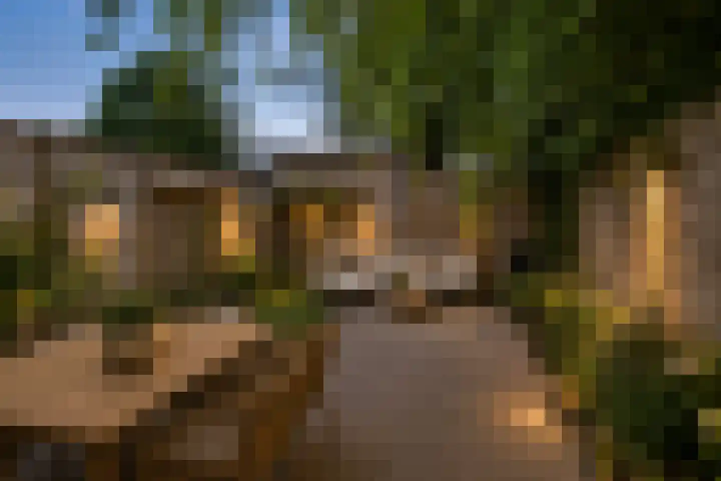 Langsteek 1 Eindhoven thumbnail 17