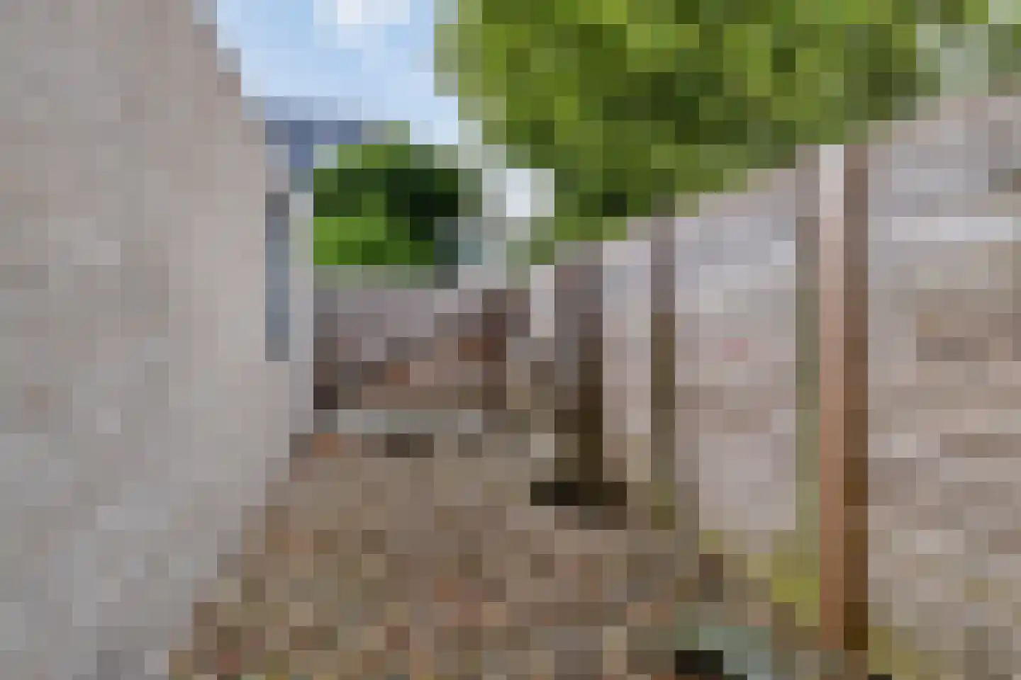 Langsteek 1 Eindhoven thumbnail 18
