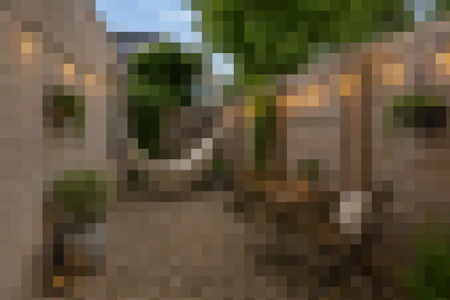 Langsteek 1 Eindhoven thumbnail 19