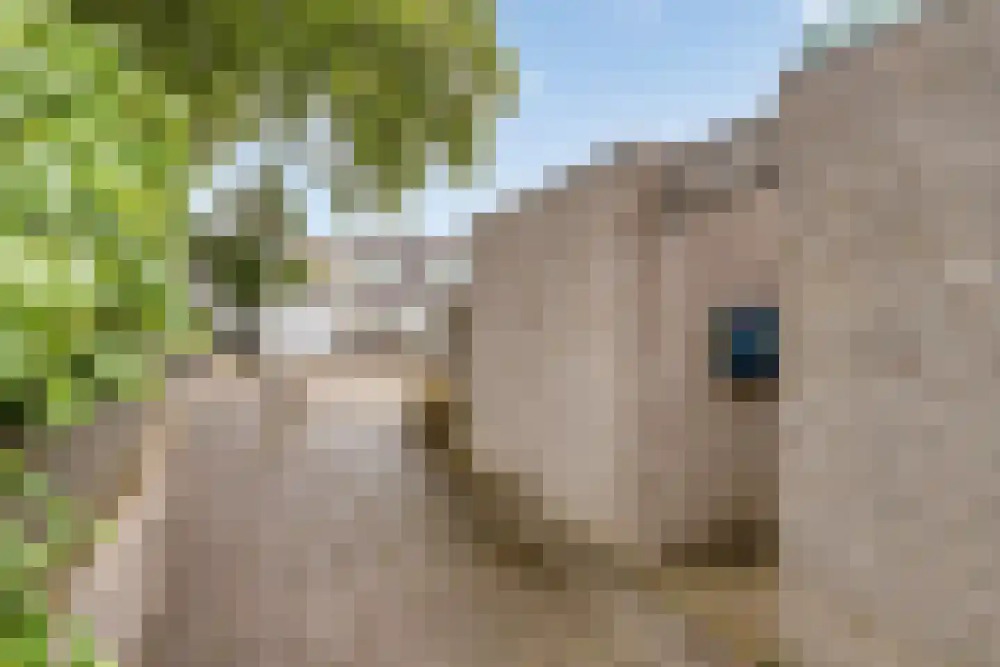 Langsteek 1 Eindhoven thumbnail 23