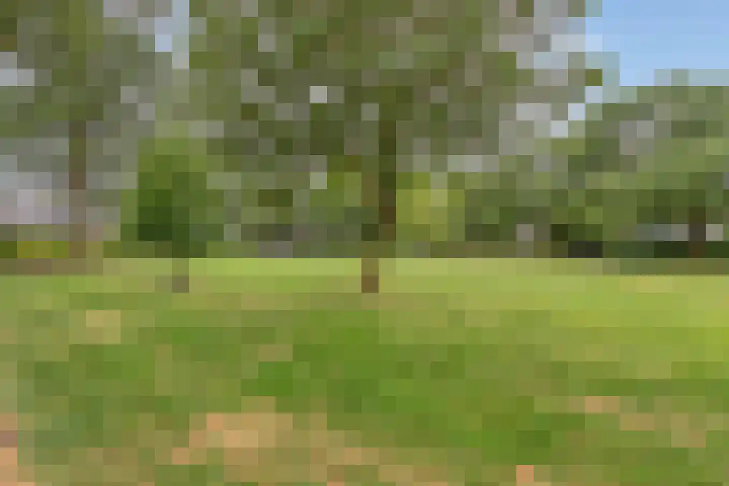 Langsteek 1 Eindhoven thumbnail 25