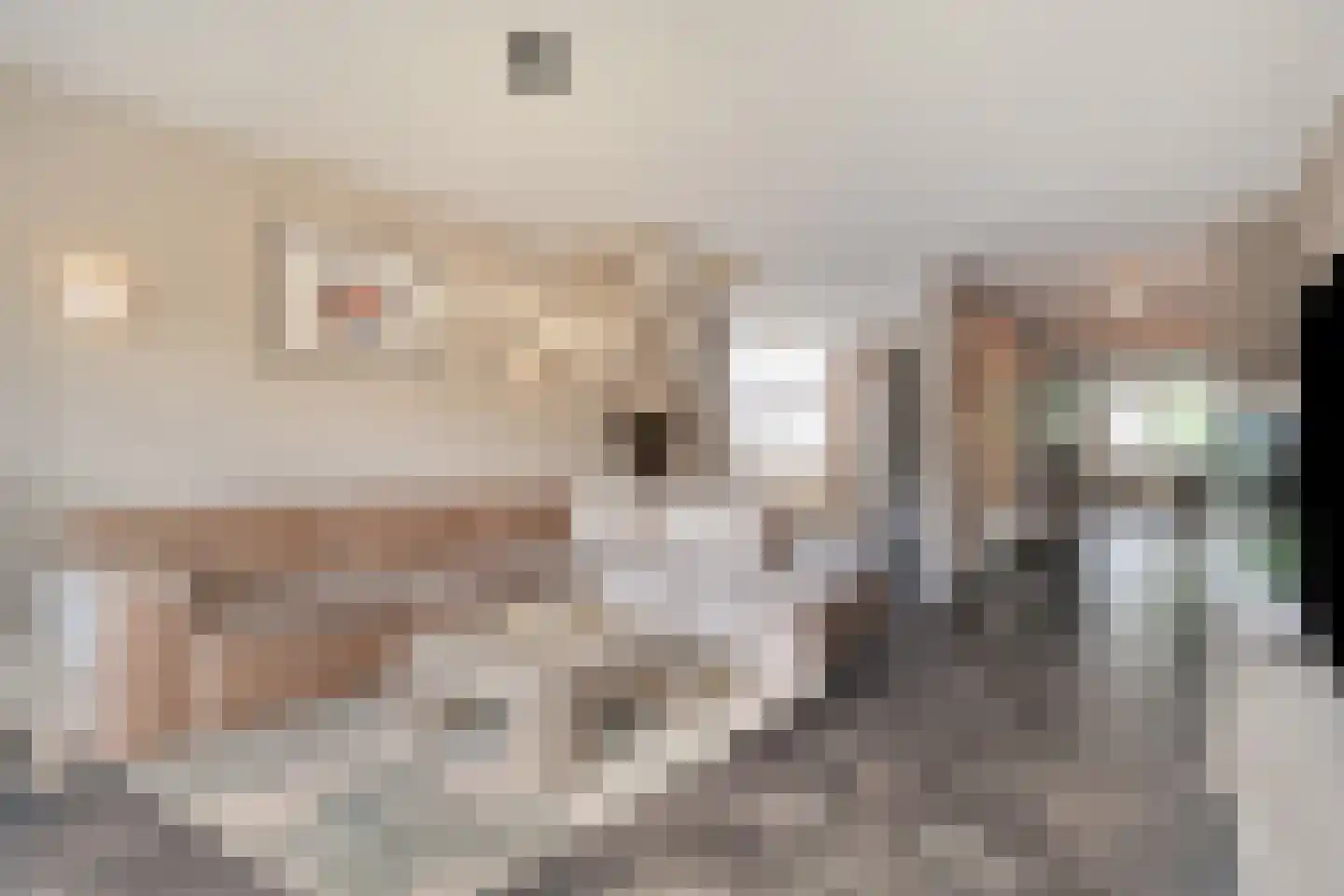 Langsteek 13 Eindhoven thumbnail 6
