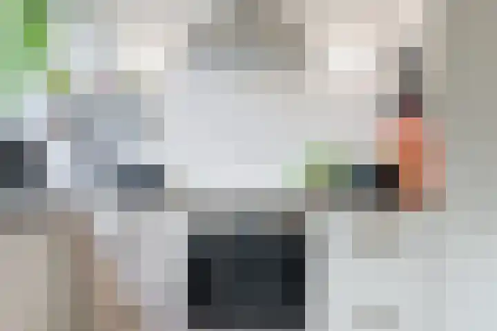 Langsteek 7 Eindhoven thumbnail 12