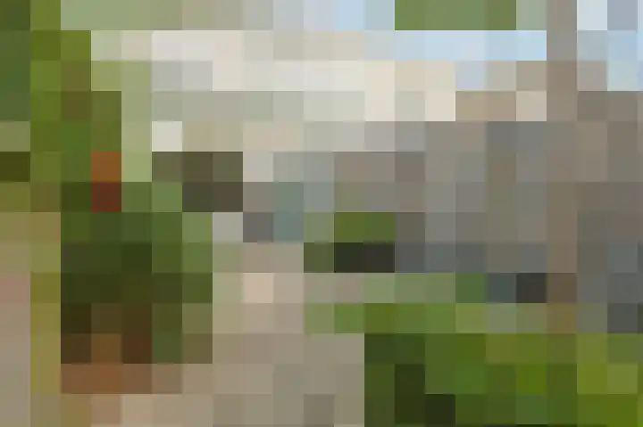 Langsteek 7 Eindhoven thumbnail 24
