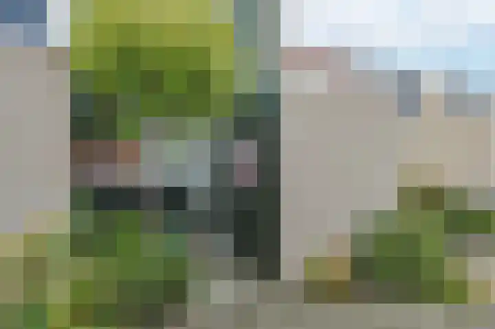 Langsteek 7 Eindhoven thumbnail 5