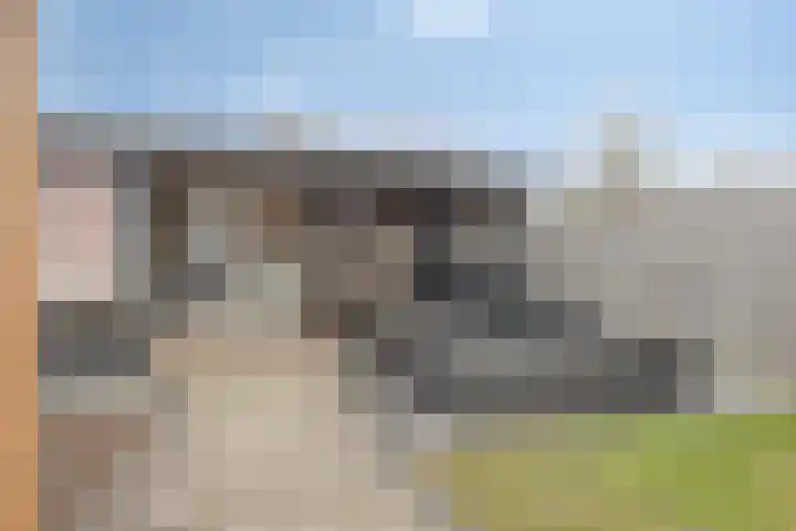 Langstraat 1 Uitwijk thumbnail 33