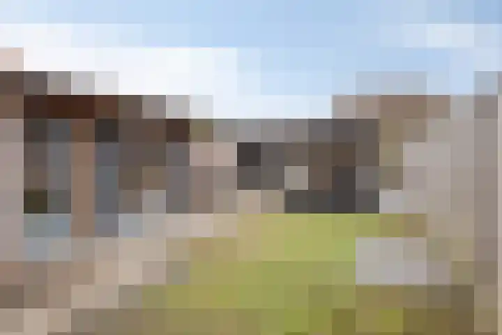Langstraat 1 Uitwijk thumbnail 5