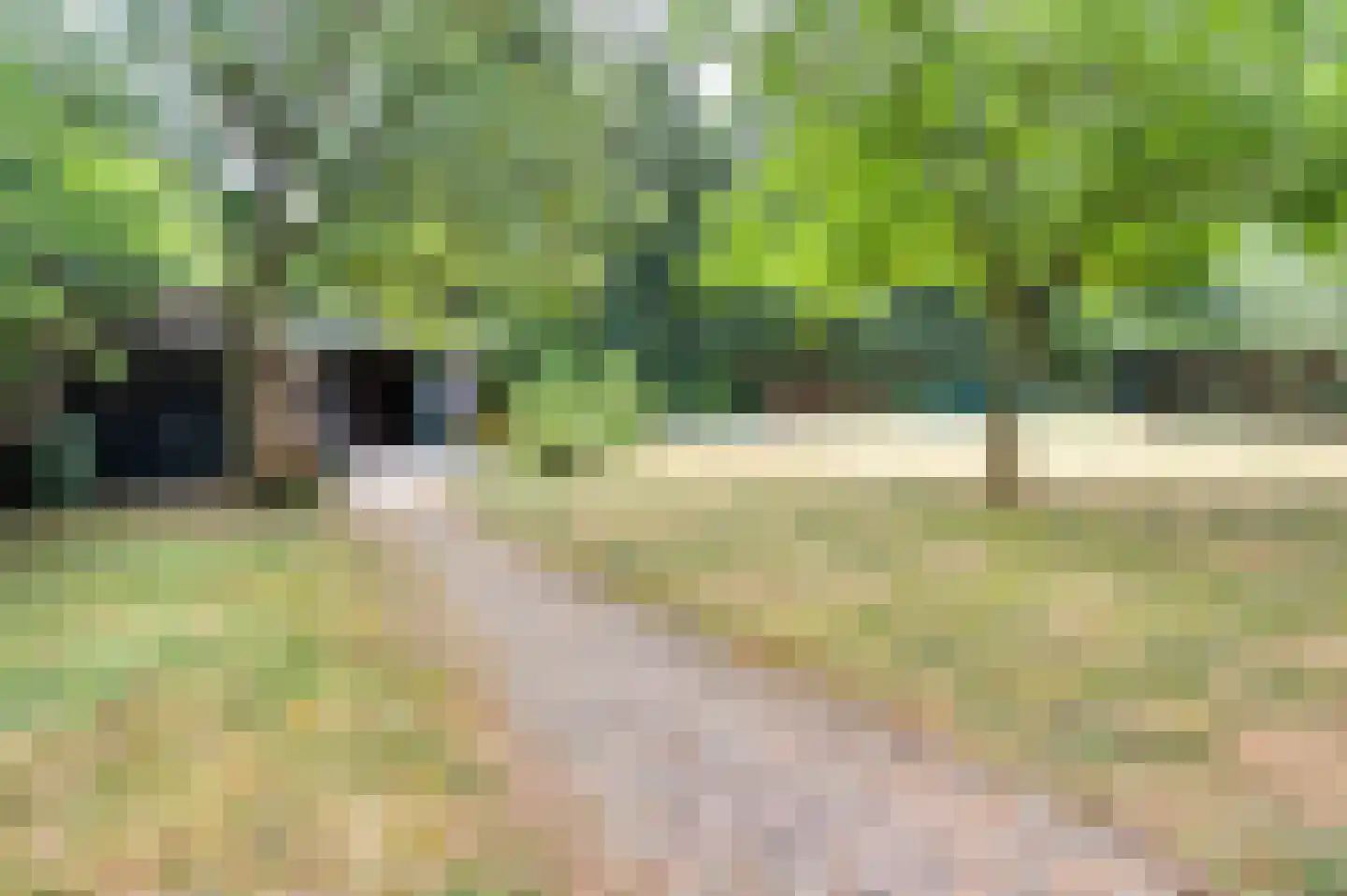 Langstraat 10 Schijndel thumbnail 42
