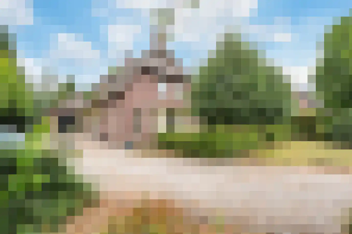 Langstraat 10 Schijndel thumbnail 51