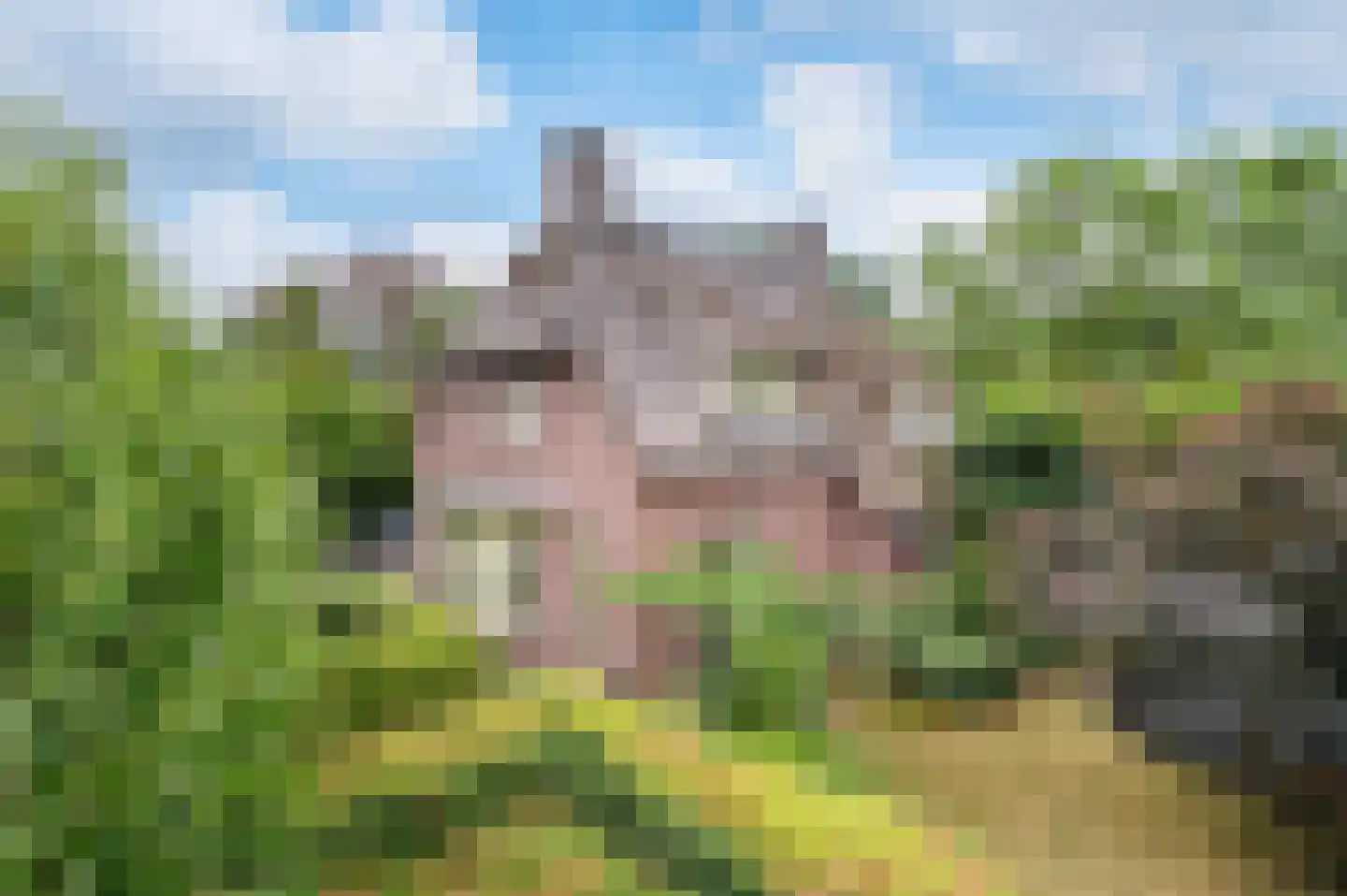 Langstraat 10 Schijndel thumbnail 52