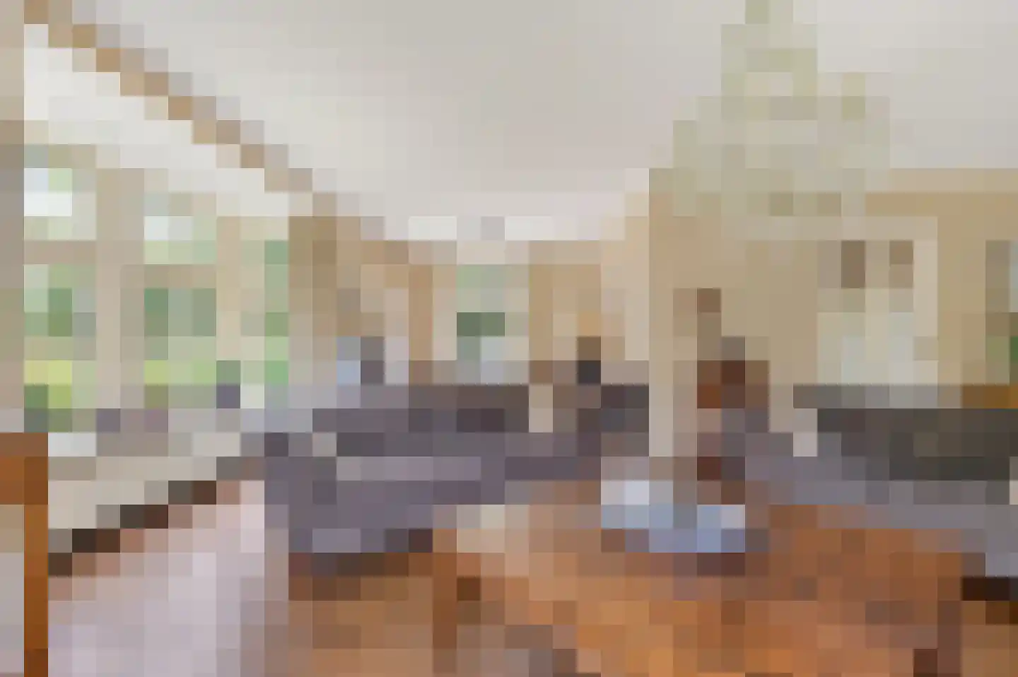 Langstraat 10 Schijndel thumbnail 7