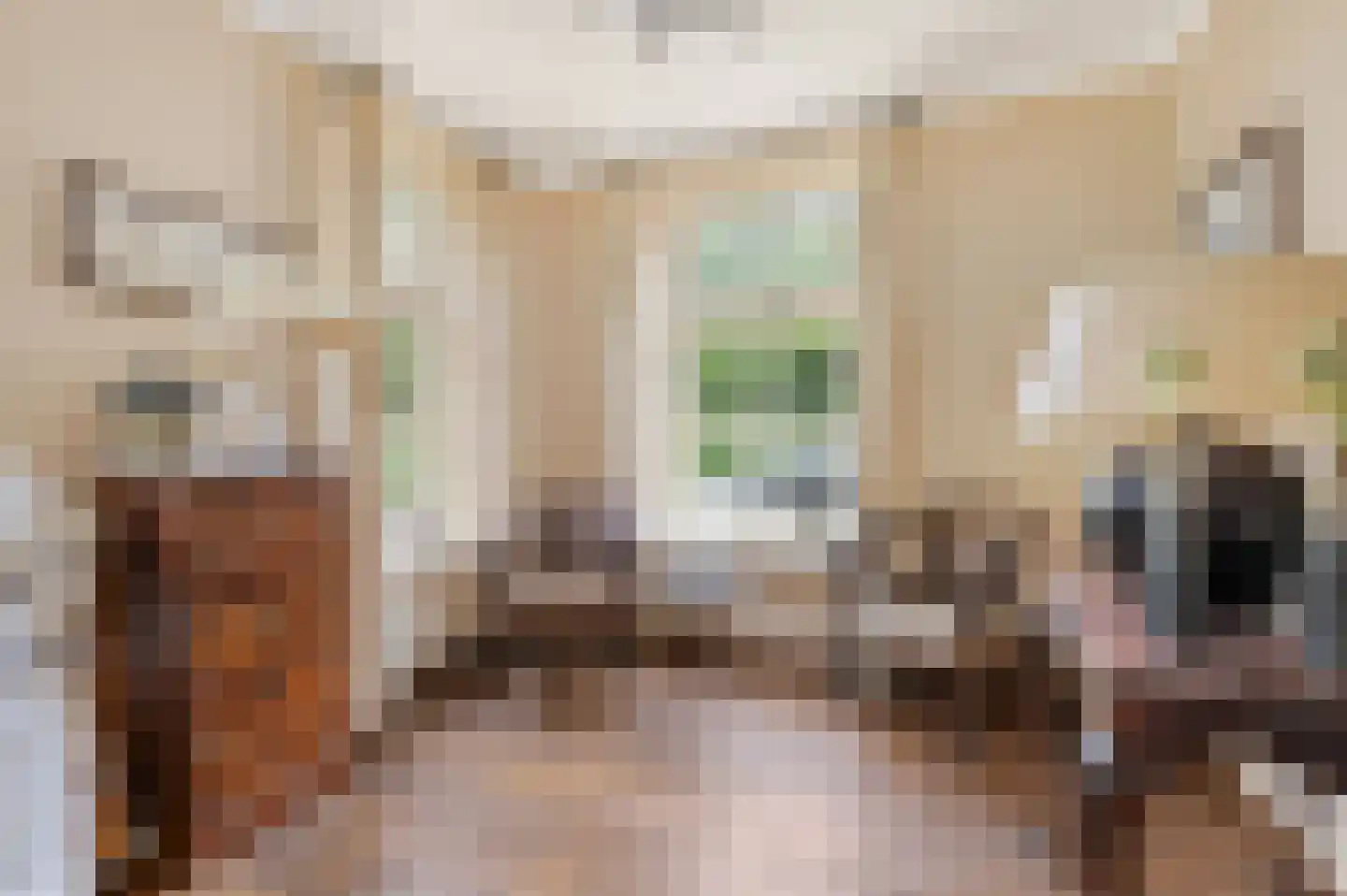 Langstraat 10 Schijndel thumbnail 8