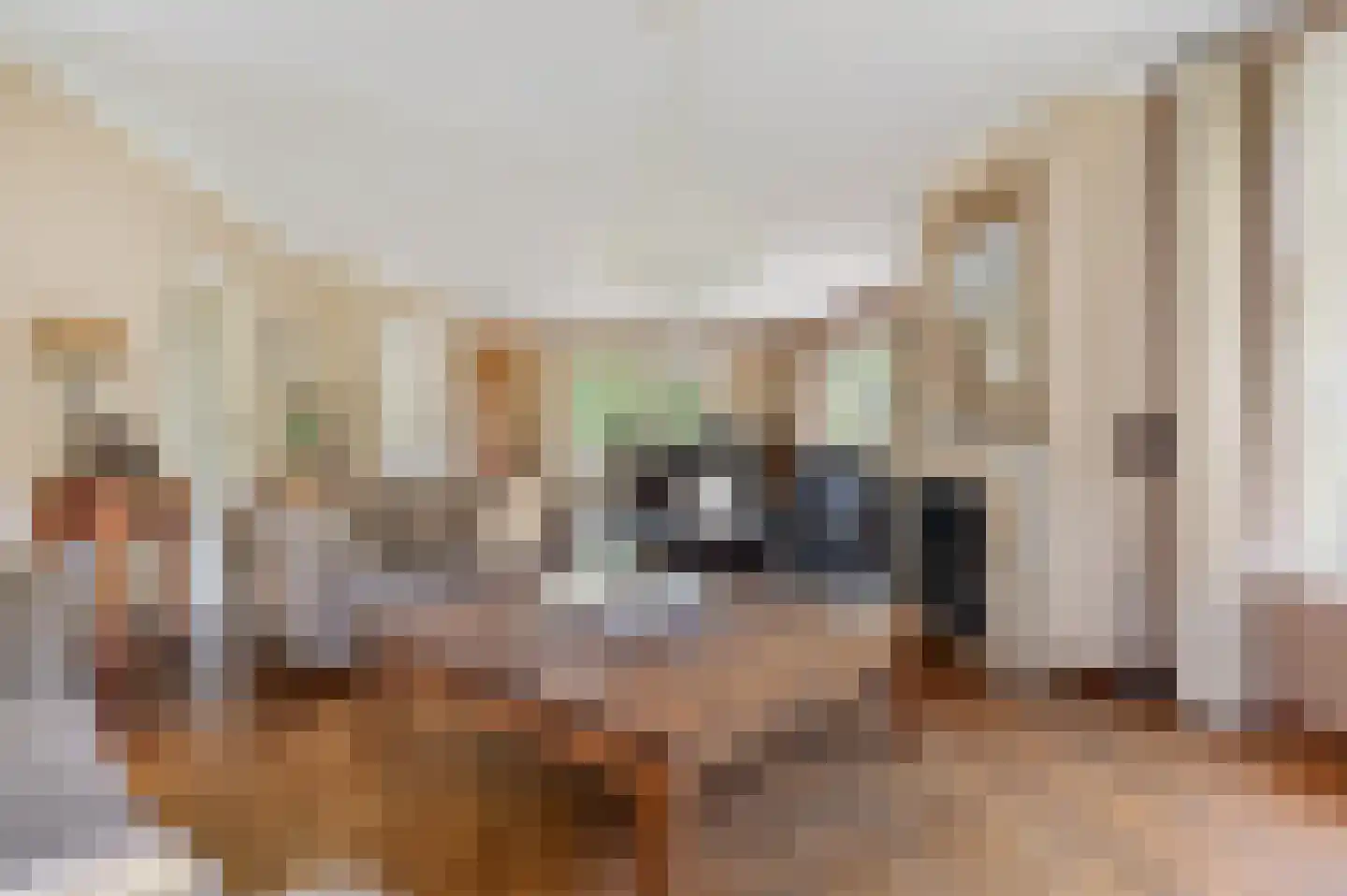 Langstraat 10 Schijndel thumbnail 9