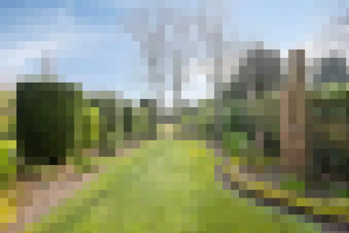 Langstraat 105 Venray thumbnail 30