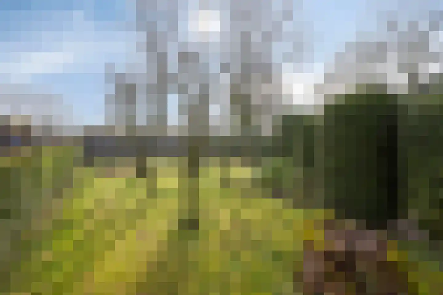 Langstraat 105 Venray thumbnail 31