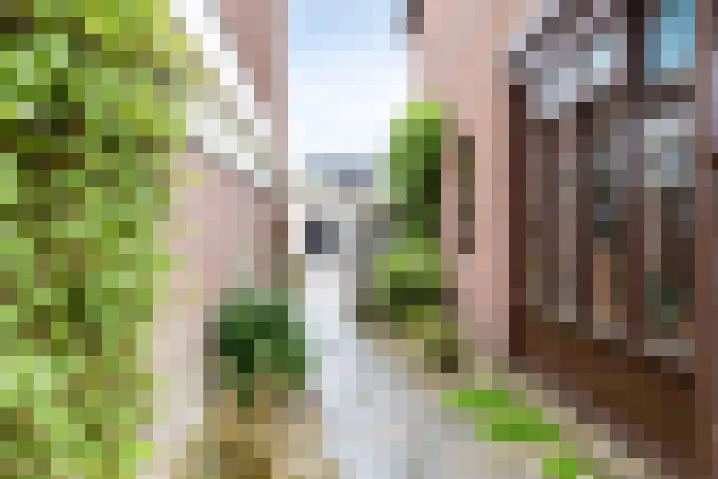 Langstraat 105 Venray thumbnail 35