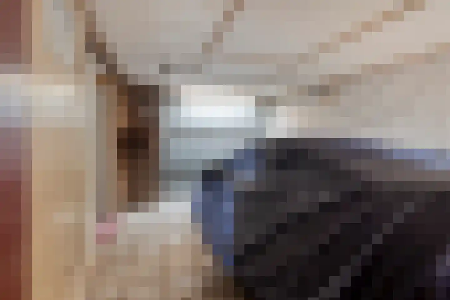Langstraat 105 Venray thumbnail 38