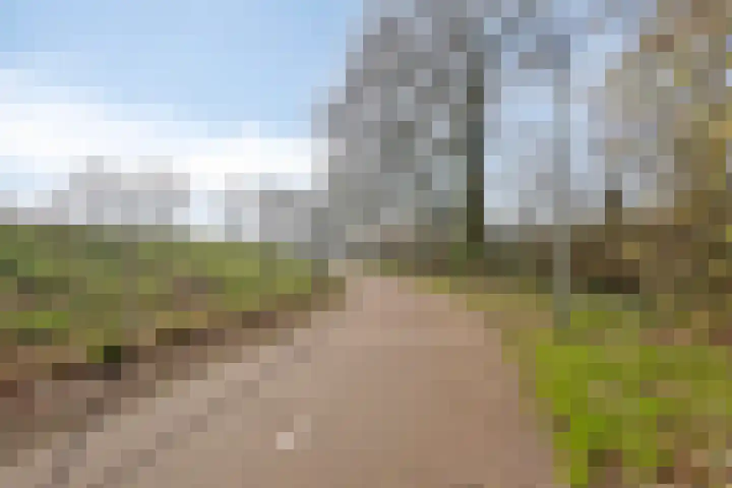 Langstraat 105 Venray thumbnail 42
