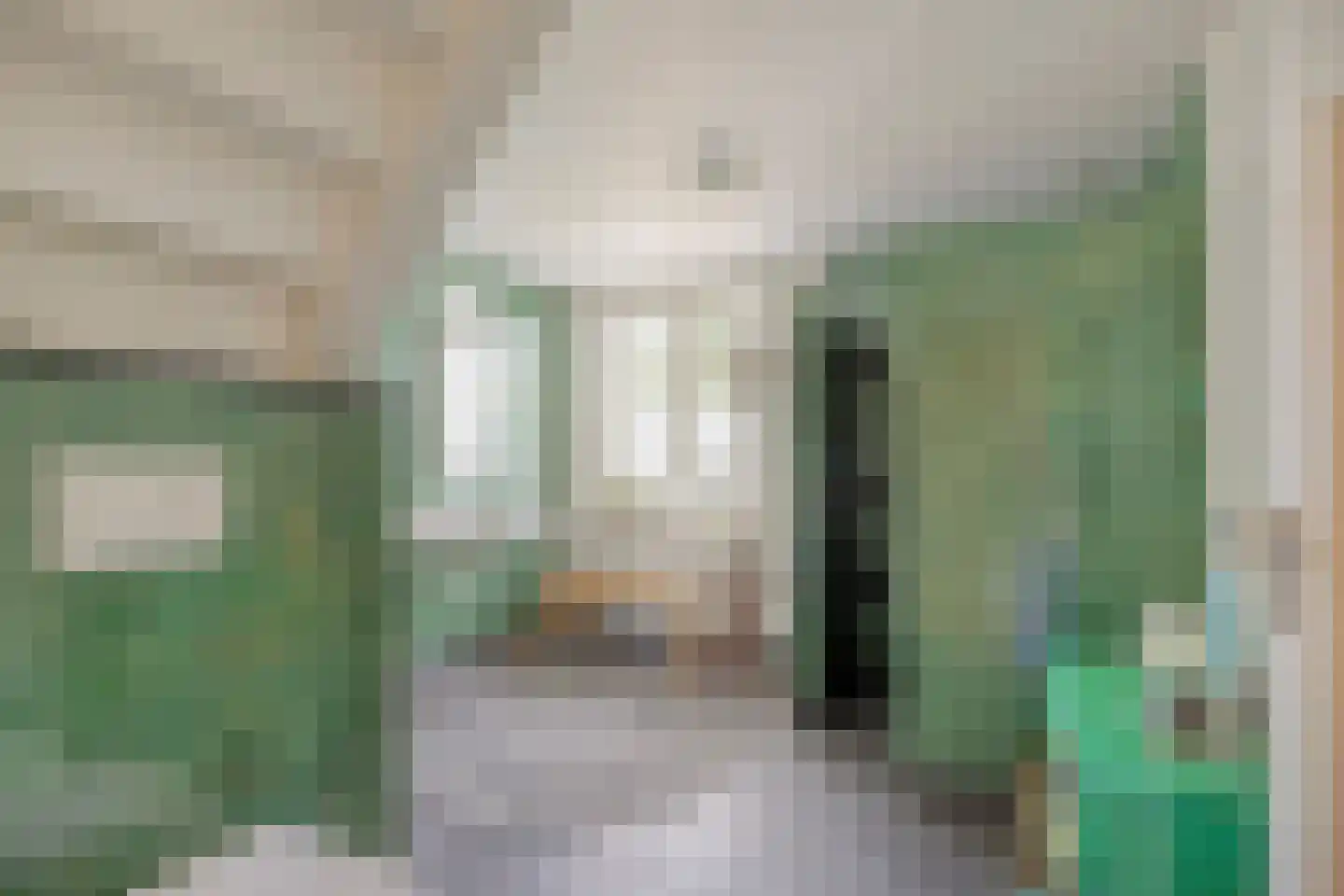 Langstraat 109 Venray thumbnail 39