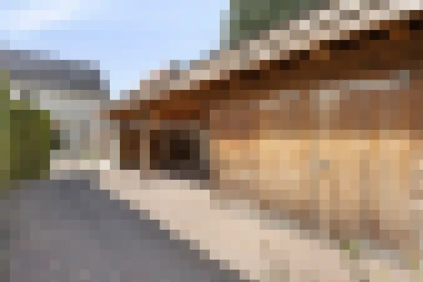 Langstraat 109 Venray thumbnail 53