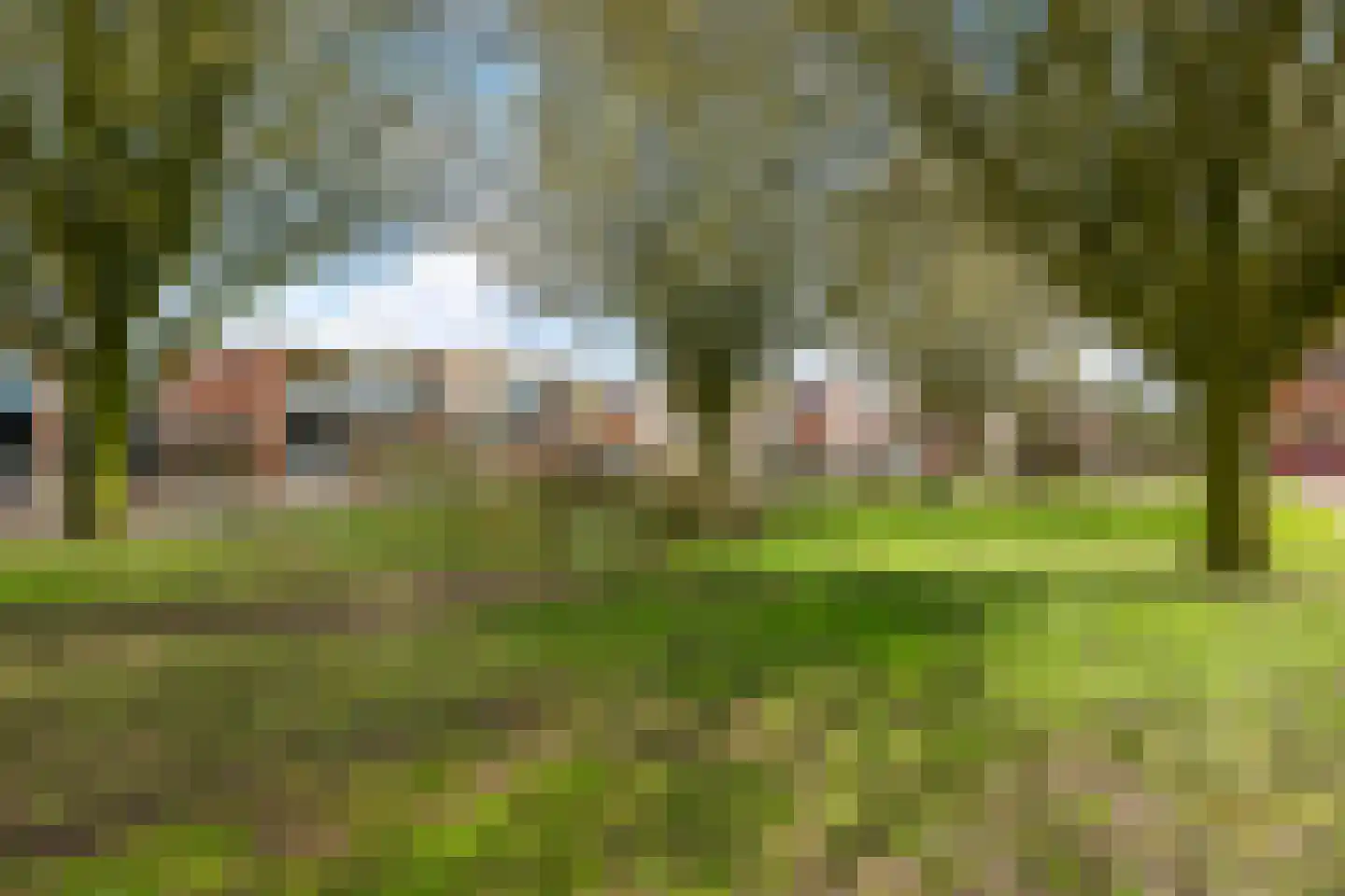 Langstraat 111 Gendt thumbnail 68