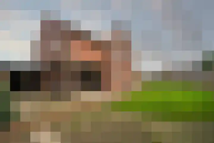 Langstraat 12 Vortum-Mullem thumbnail 27