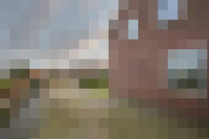 Langstraat 12 Vortum-Mullem thumbnail 29