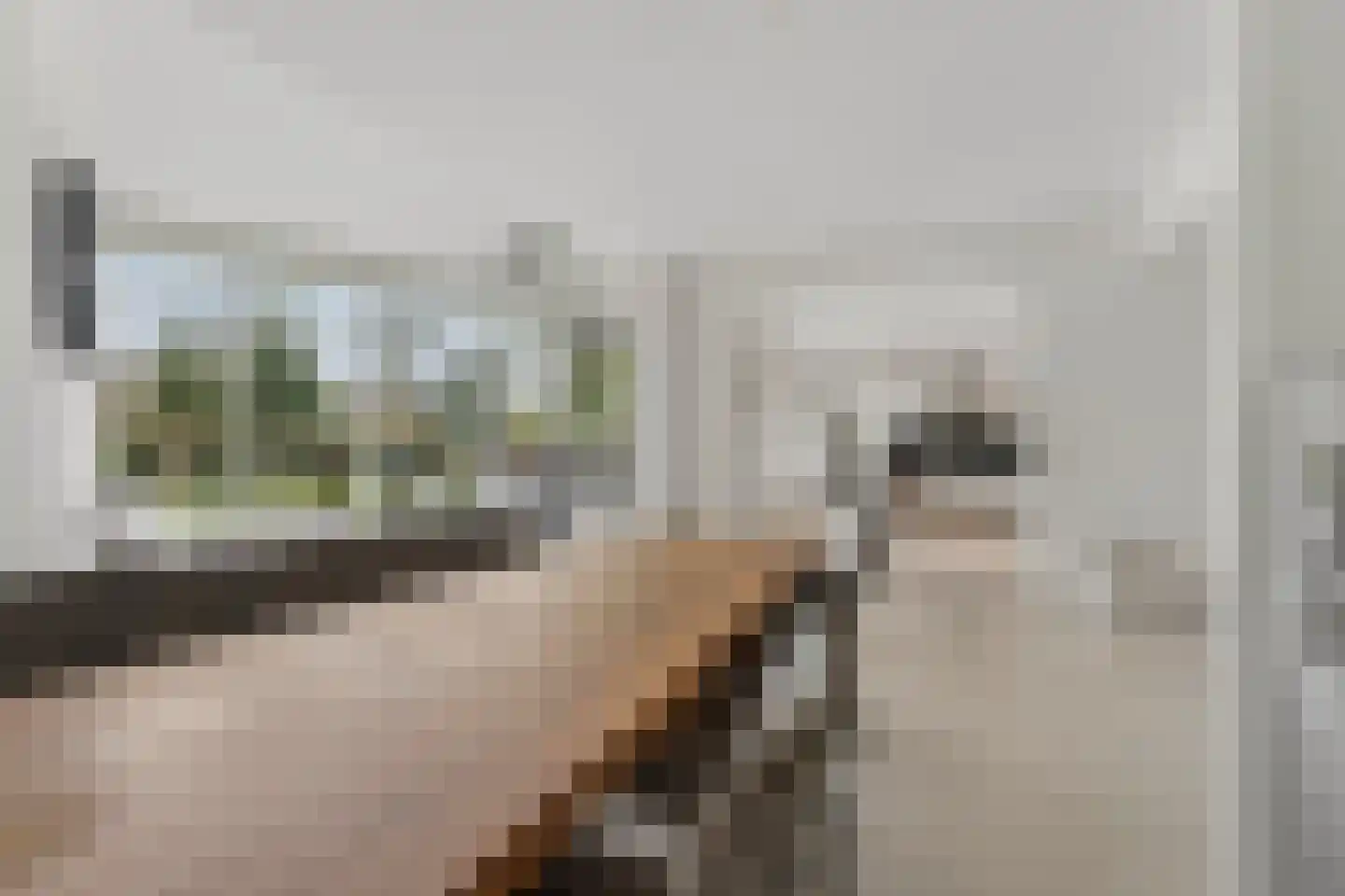Langstraat 121 Milsbeek thumbnail 13