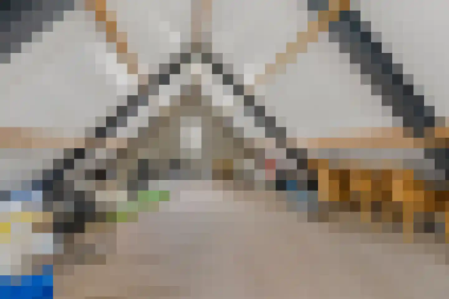 Langstraat 121 Milsbeek thumbnail 22