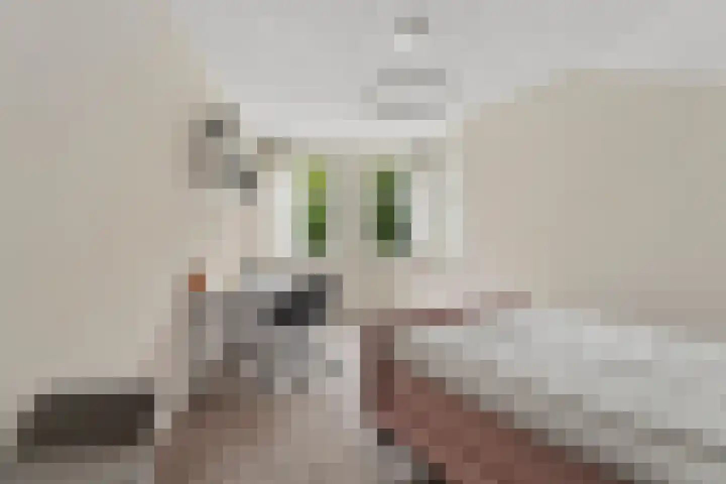 Langstraat 121 Milsbeek thumbnail 39