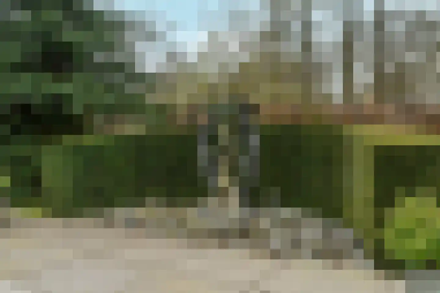 Langstraat 121 Milsbeek thumbnail 60