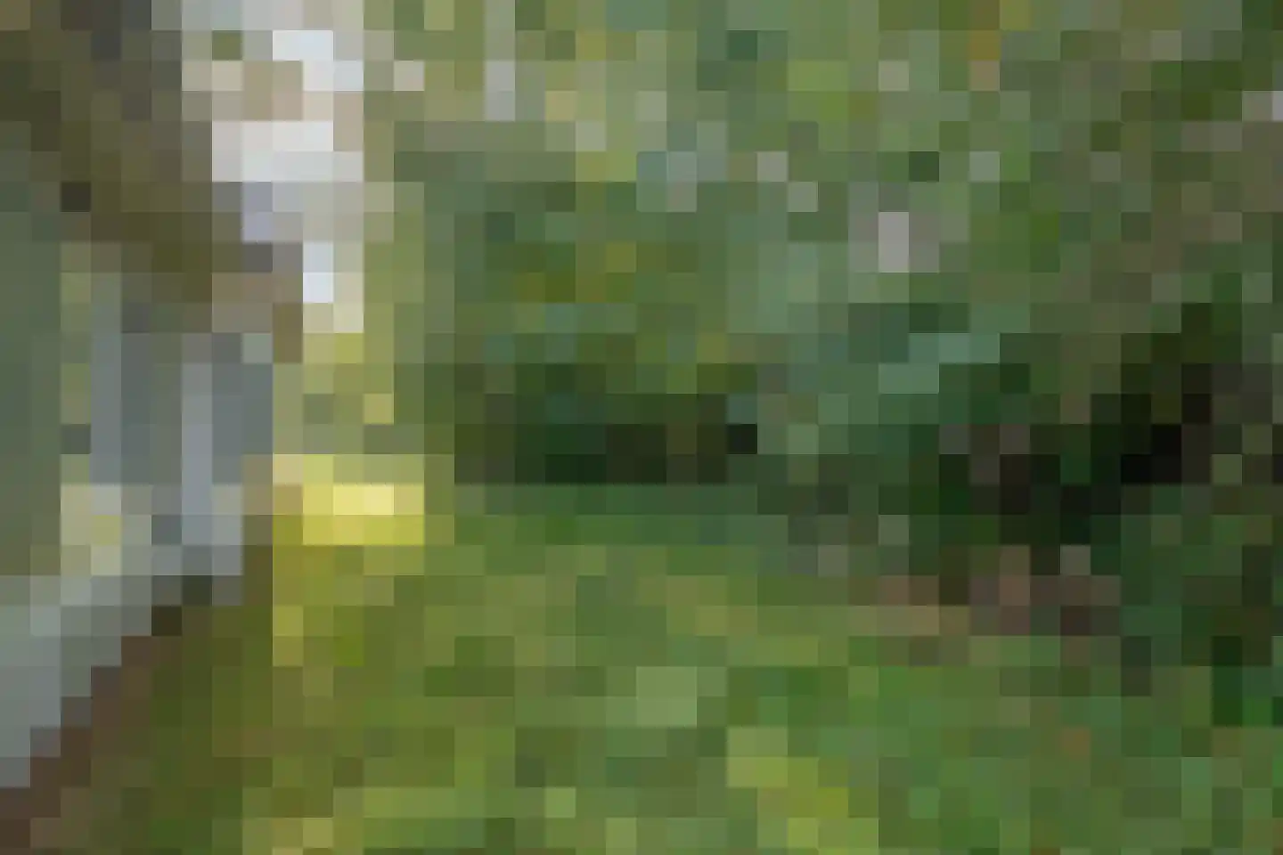 Langstraat 125 Milsbeek thumbnail 19