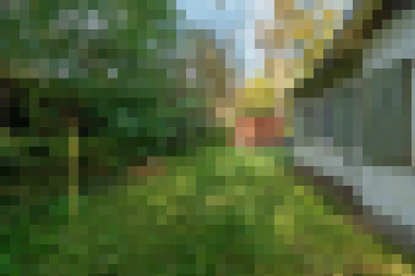 Langstraat 125 Milsbeek thumbnail 20