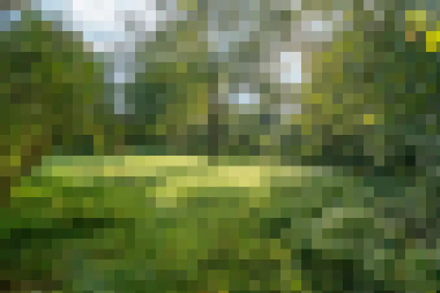Langstraat 125 Milsbeek thumbnail 21