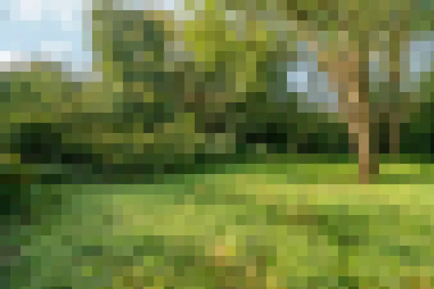 Langstraat 125 Milsbeek thumbnail 23