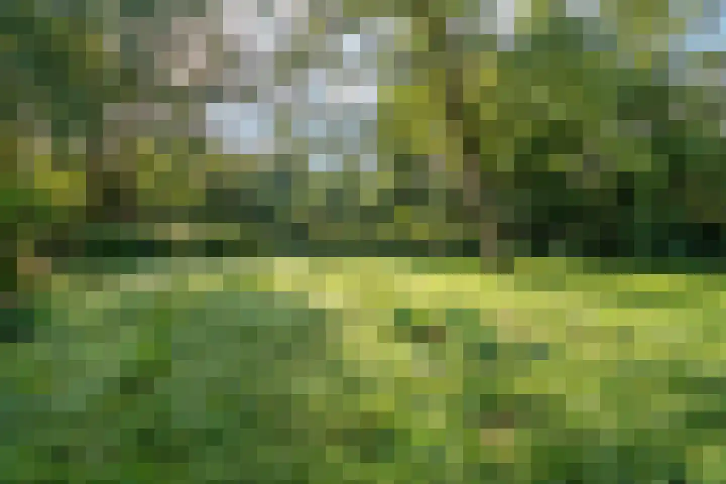 Langstraat 125 Milsbeek thumbnail 24