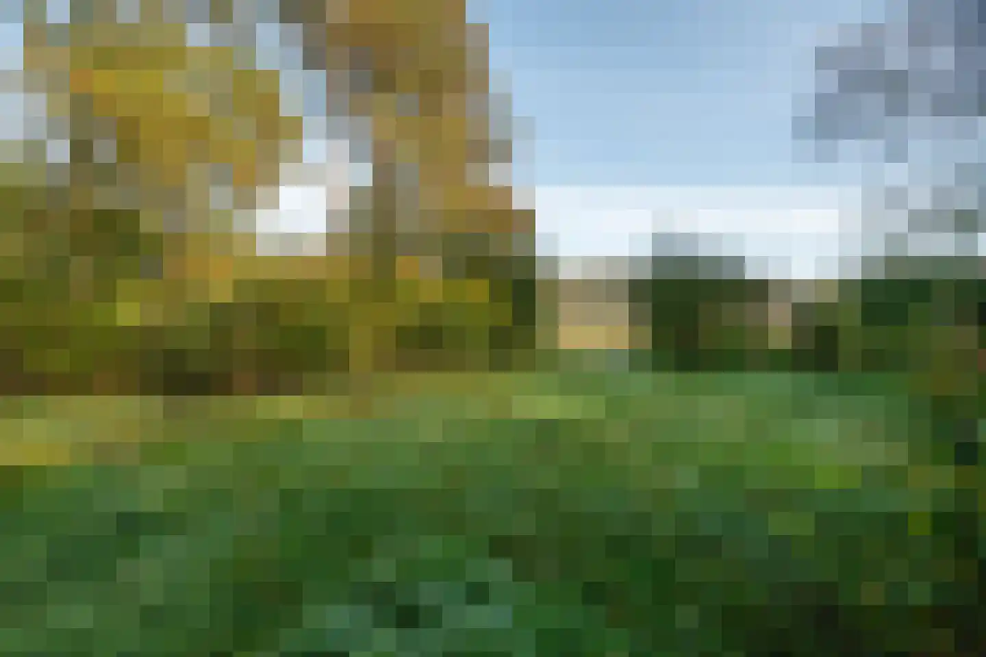 Langstraat 125 Milsbeek thumbnail 25