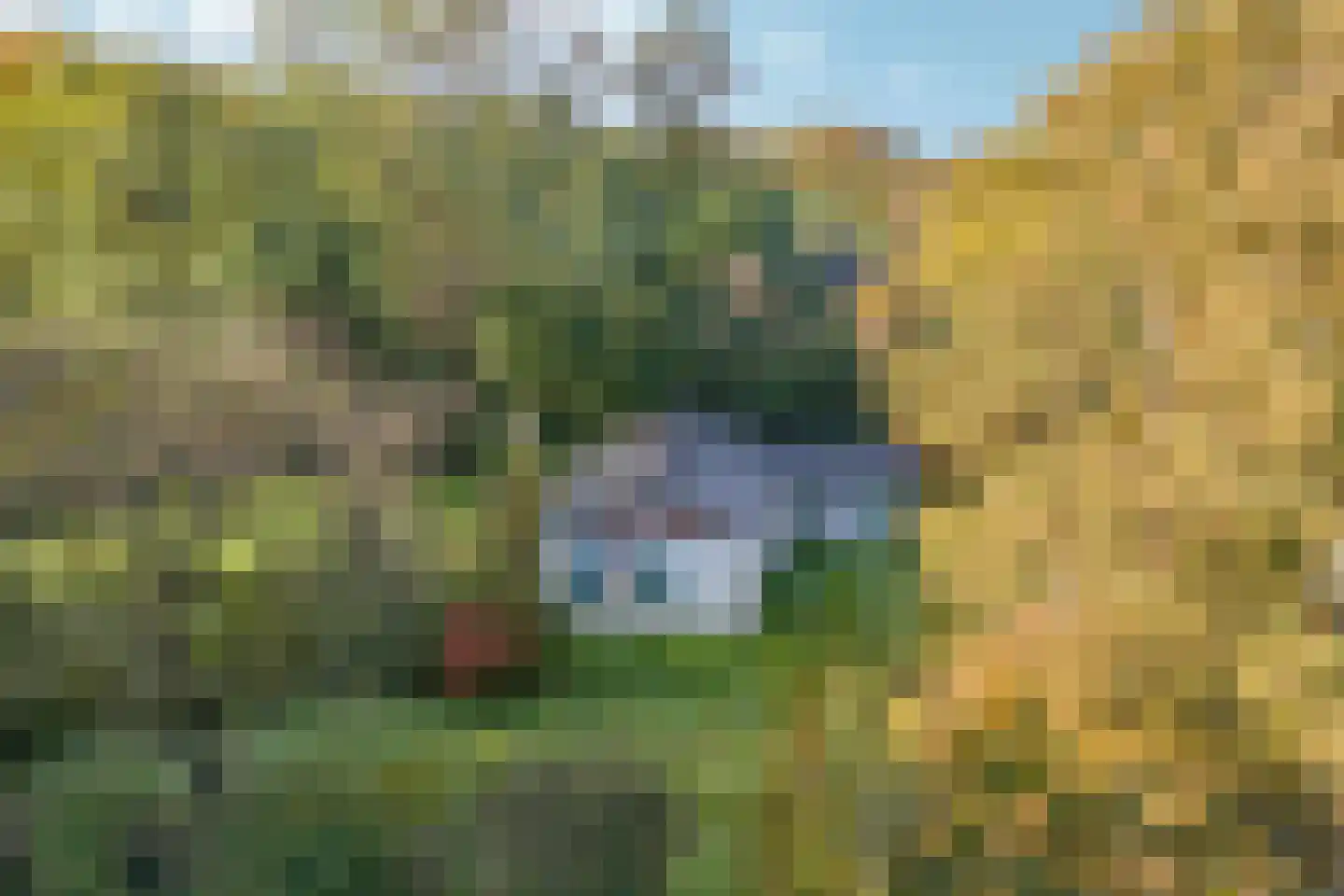 Langstraat 125 Milsbeek thumbnail 27