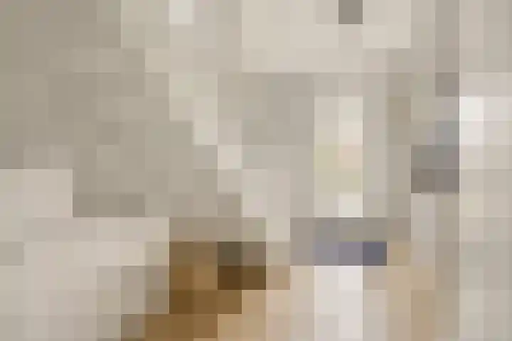 Langstraat 133 Etten-Leur thumbnail 6