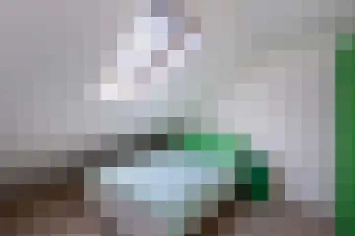 Langstraat 14 Emmeloord thumbnail 27