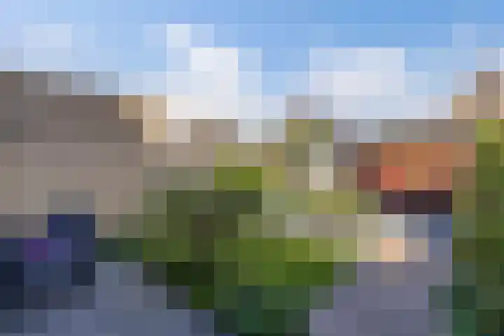 Langstraat 14 Emmeloord thumbnail 33