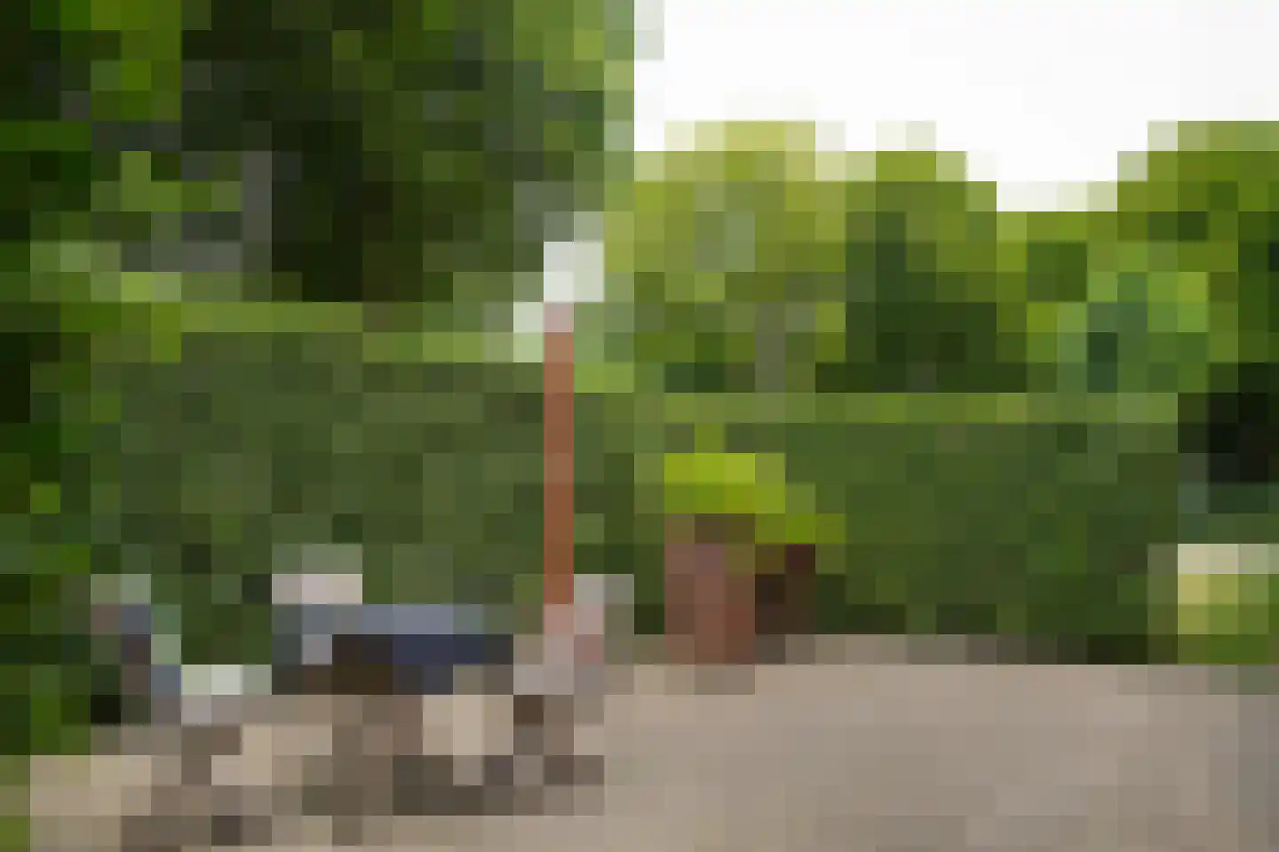 Langstraat 15 Uitwijk thumbnail 17