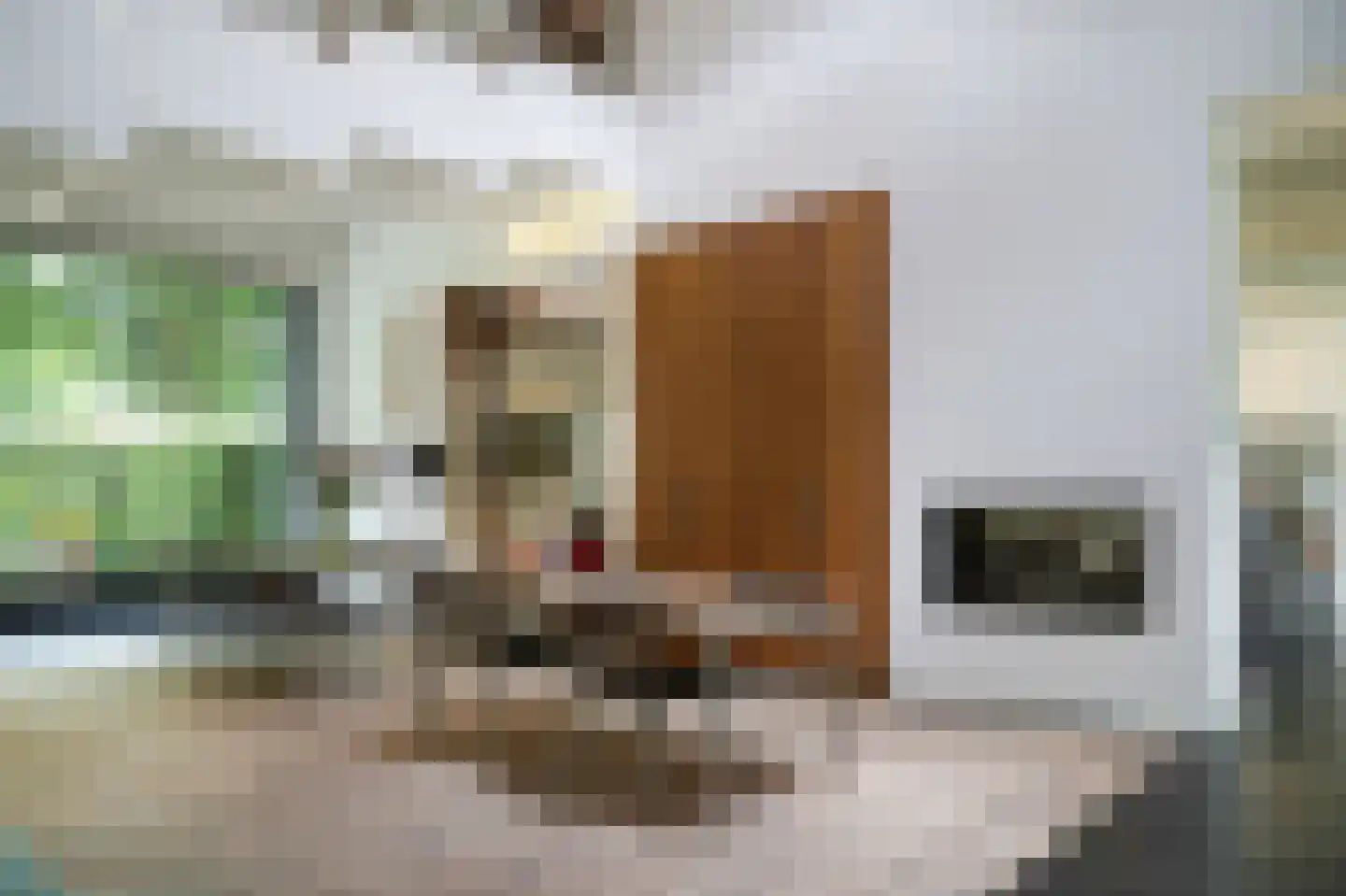 Langstraat 15 Uitwijk thumbnail 20