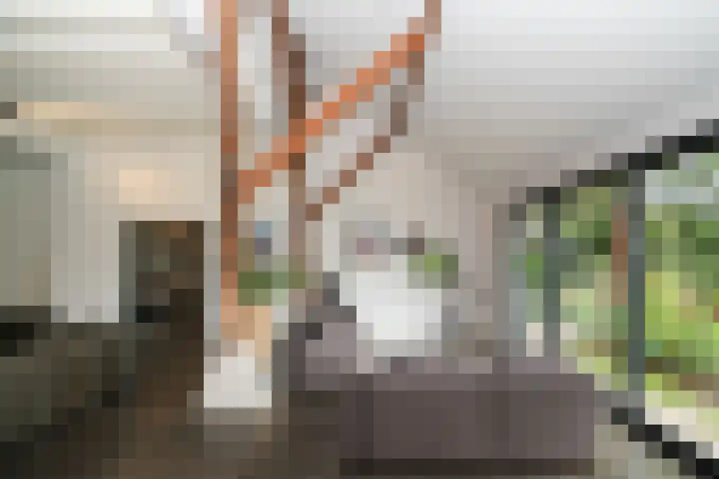 Langstraat 15 Uitwijk thumbnail 23