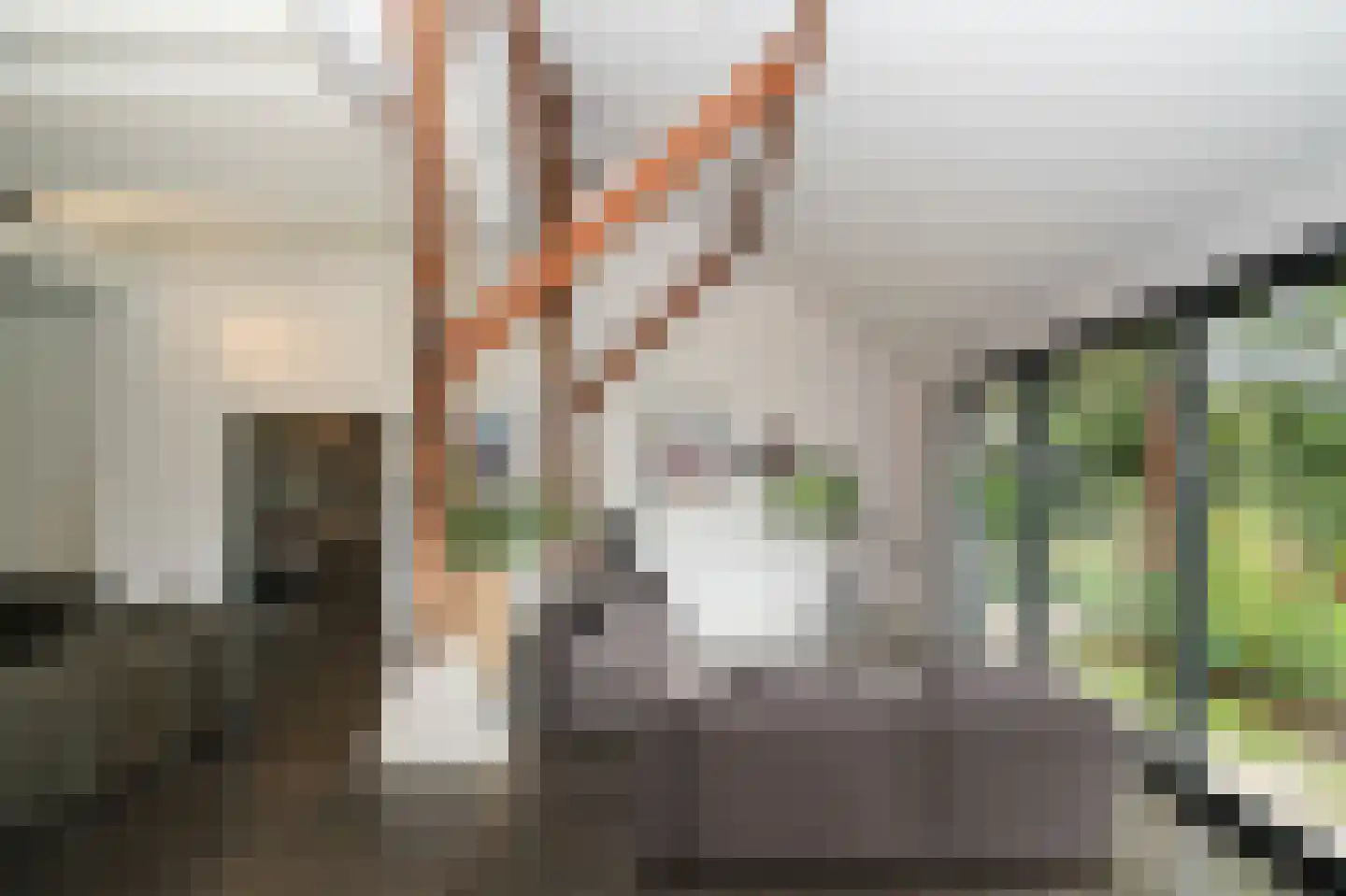 Langstraat 15 Uitwijk thumbnail 23