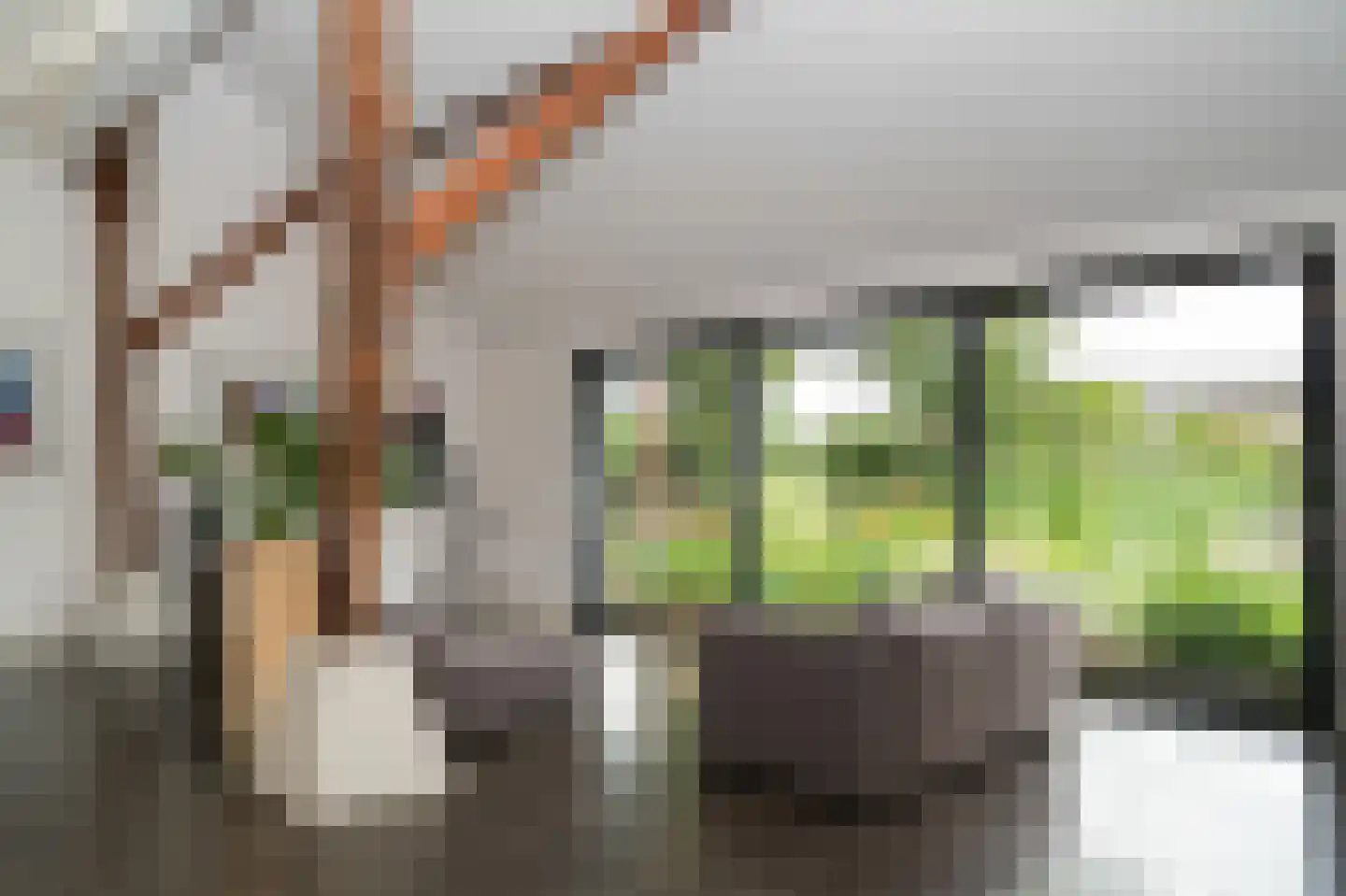 Langstraat 15 Uitwijk thumbnail 24
